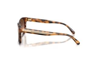 Vue latérale Ralph Lauren RL8237U (608913)