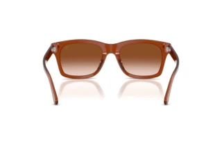 Vue arrière Ralph Lauren RL8237U (630613)