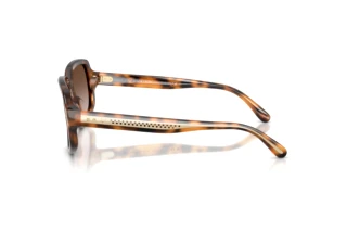 Vue latérale Ralph Lauren RL8238U (608913)