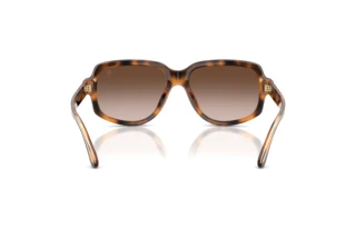 Vue arrière Ralph Lauren RL8238U (608913)