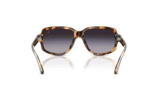 Vue arrière Ralph Lauren RL8238U (61788G)