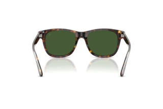 Vue arrière Ralph Lauren RL8239U (500371)