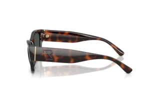 Vue latérale Ralph Lauren RL8240U (624187)