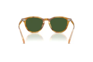 Vue arrière Ralph Lauren RL8241U (618571)