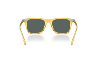 Vue arrière Ralph Lauren RL8242U (50053R)