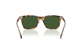 Vue arrière Ralph Lauren RL8242U (633971)