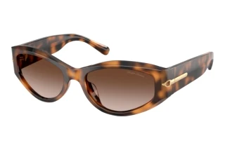 Vue de face Ralph Lauren RL8243U (608913)