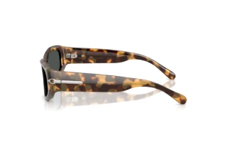 Vue latérale Ralph Lauren RL8243U (617887)