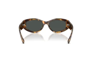Vue arrière Ralph Lauren RL8243U (617887)