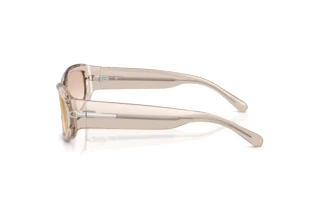 Vue latérale Ralph Lauren RL8243U (63904E)