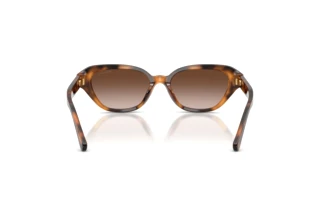 Vue arrière Ralph Lauren RL8244U (608913)