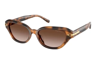 Vue de face Ralph Lauren RL8244U (608913)