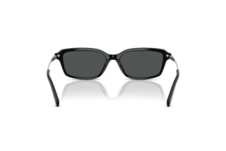 Vue arrière Ralph Lauren RL8245U (500187)