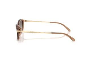 Vue latérale Ralph Lauren RL8245U (637708)