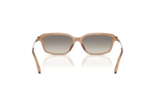 Vue arrière Ralph Lauren RL8245U (637708)