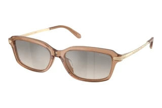 Vue de face Ralph Lauren RL8245U (637708)