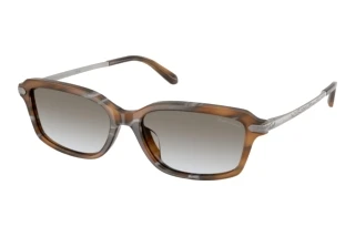 Vue de face Ralph Lauren RL8245U (637911)