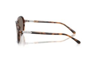 Vue latérale Ralph Lauren RL8247U (60896G)