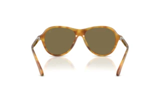 Vue arrière Ralph Lauren RL8247U (618573)