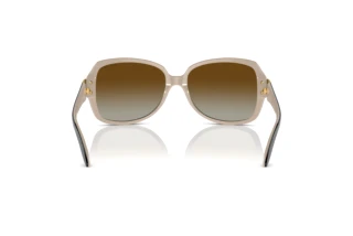 Vue arrière Ralph RA5138 (6123T3)