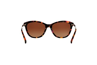 Vue arrière Ralph RA5201 (1457T5)