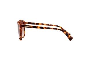 Vue latérale Ralph RA5273 (588513)