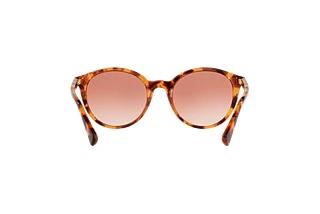 Vue arrière Ralph RA5273 (588513)