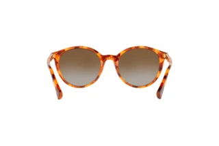 Vue arrière Ralph RA5273 (5885T5)