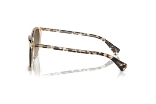 Vue latérale Ralph VVCV (RA5293 - 6072T5)