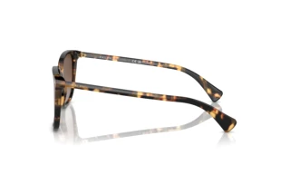 Vue latérale Ralph VVCV (RA5293 - 6148T5)