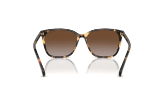 Vue arrière Ralph VVCV (RA5293 - 6148T5)