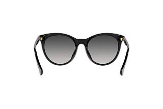 Vue arrière Ralph RA5294U (500187)