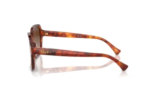 Vue latérale Ralph RA5304U (601113)