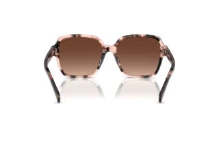 Vue arrière Ralph RA5304U (6058T5)