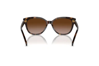 Vue arrière Ralph RA5305U (500313)