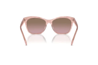 Vue arrière Ralph RA5310U (615314)