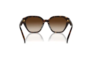 Vue arrière Ralph RA5315U (500313)