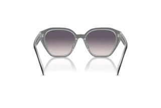 Vue arrière Ralph RA5315U (606636)