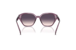 Vue arrière Ralph RA5315U (620736)