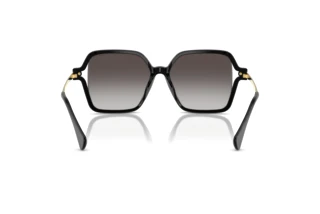 Vue arrière Ralph RA5319U (50018G)