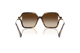 Vue arrière Ralph RA5319U (500313)