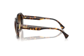 Vue latérale Ralph RA5321U (500313)