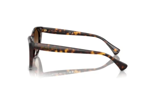 Vue latérale Ralph RA5324U (500313)