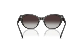 Vue arrière Ralph RA5324U (55368G)