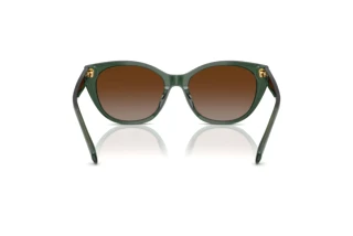 Vue arrière Ralph RA5324U (6206T5)