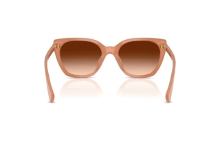 Vue arrière Ralph RA5330U (623774)