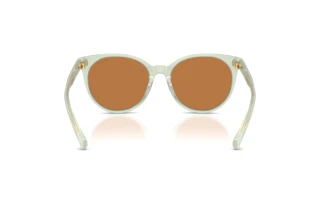 Vue arrière Ralph RA5331U (604973)