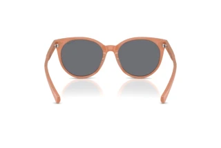 Vue arrière Ralph RA5331U (623787)