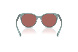 Vue arrière Ralph RA5331U (624069)