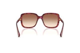 Vue arrière Ralph RA5333U (623913)